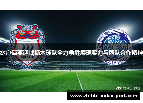 水户蜀葵迎战枥木球队全力争胜展现实力与团队合作精神